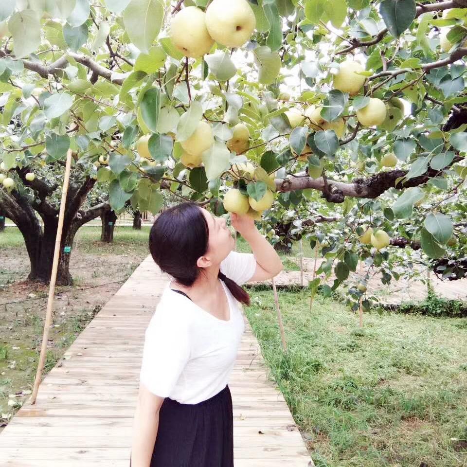 lily碎碎念