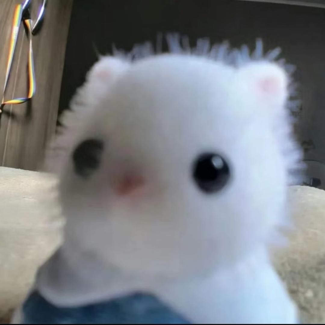 不吃🐰