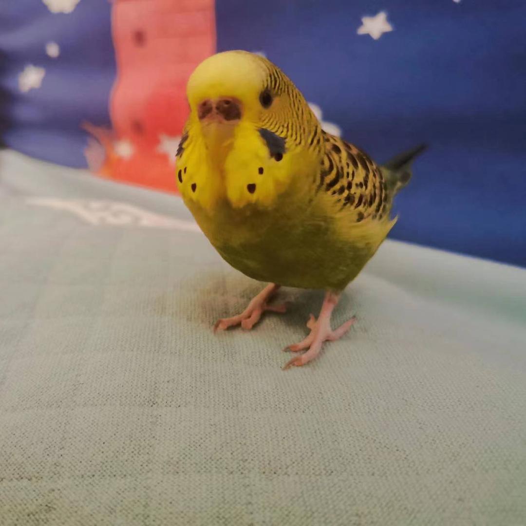 顺风顺水顺财神