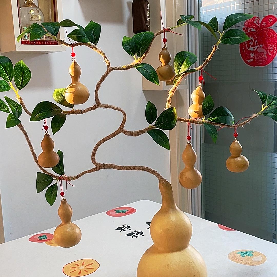 金锅家（福禄树）
