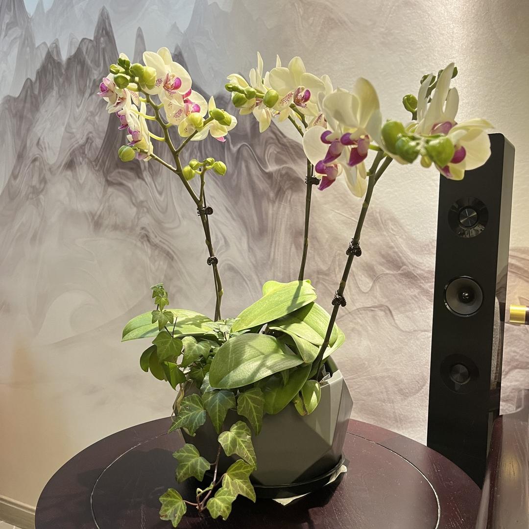 我是方方姐呀😎🥰🎉🥳🎊