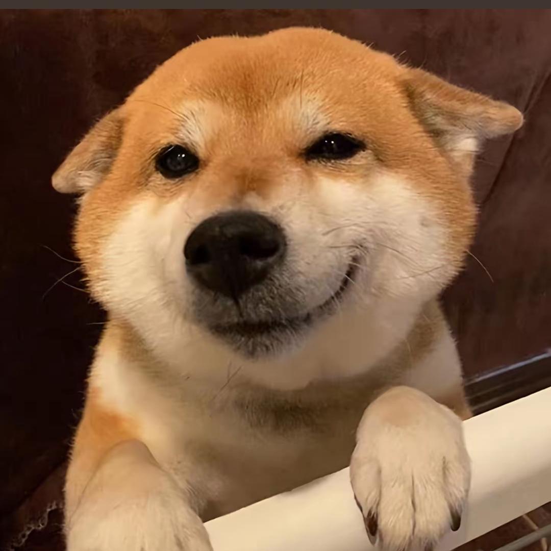 事与愿违