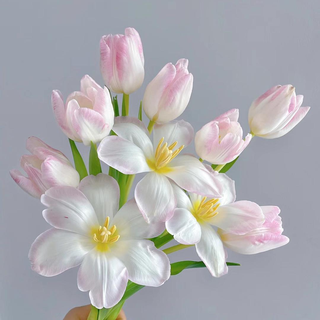 云上花集