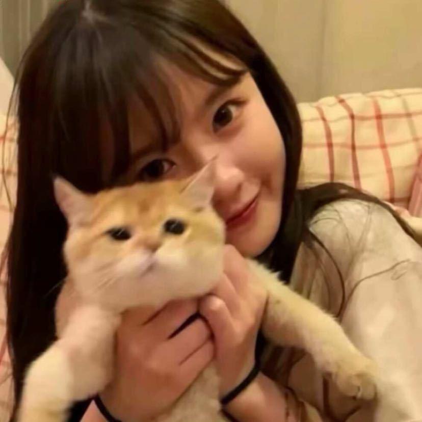 涵bao-