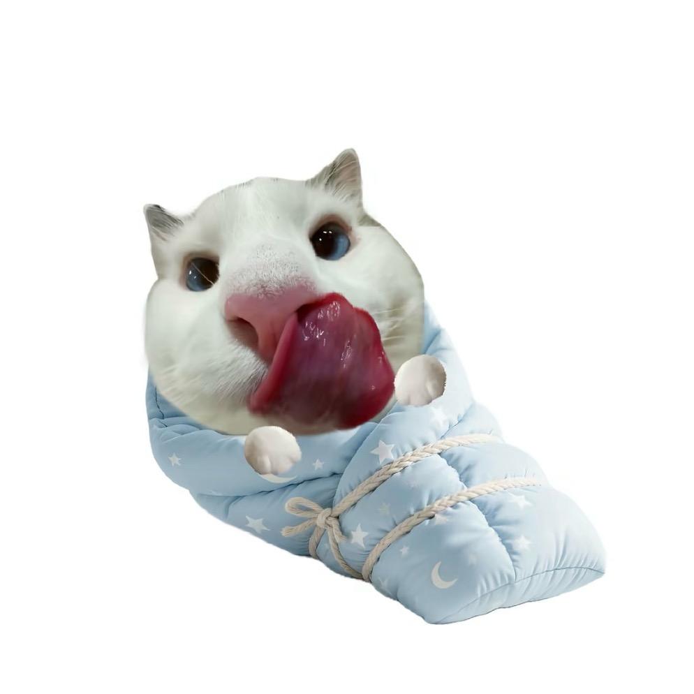 认清