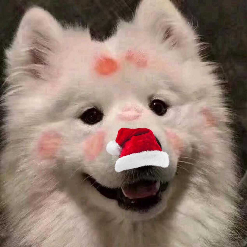 𝙑𝙀𝙇𝙋𝙍𝙊
