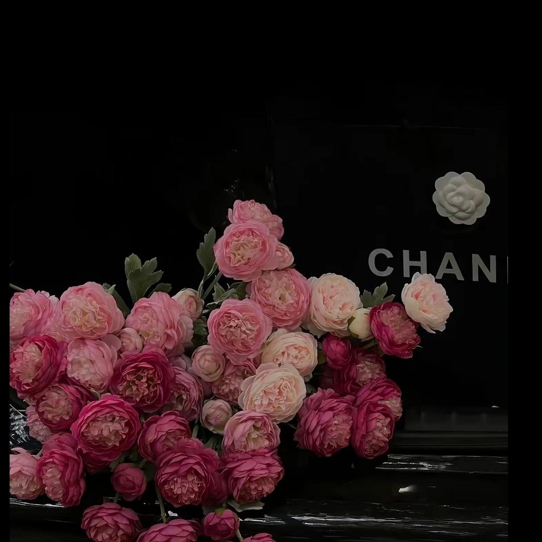 赵赵赵♥️