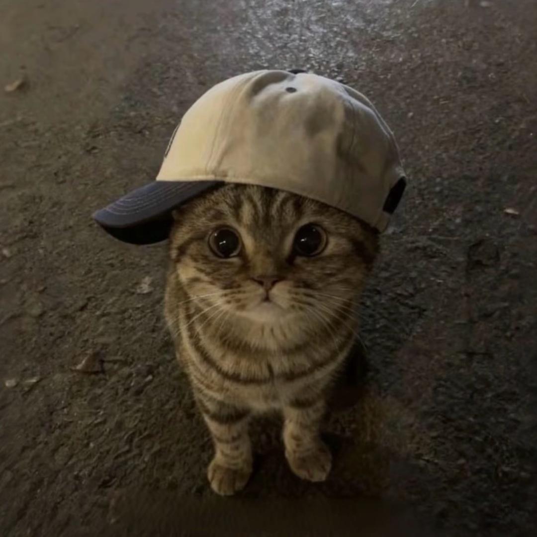 觉不够睡