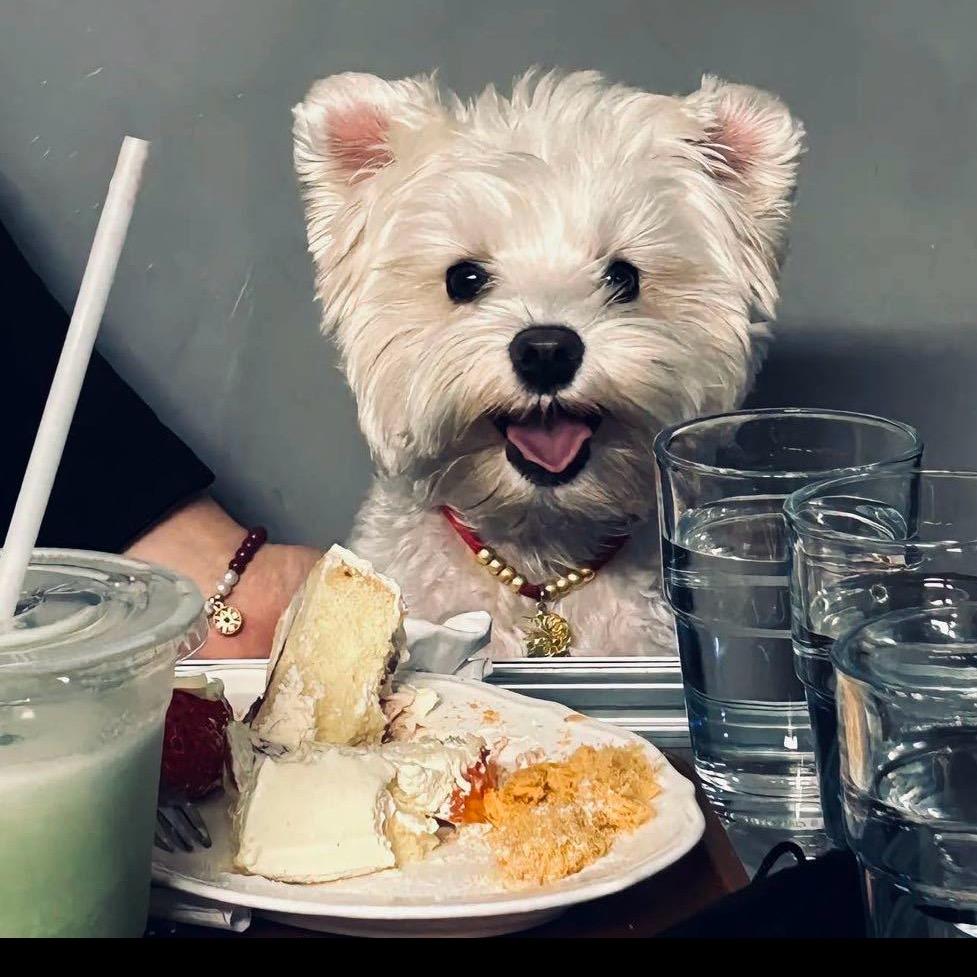 🐹仔