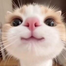 李小小🌶️