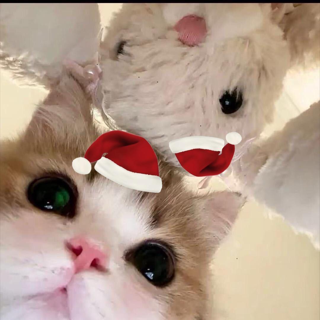 1111