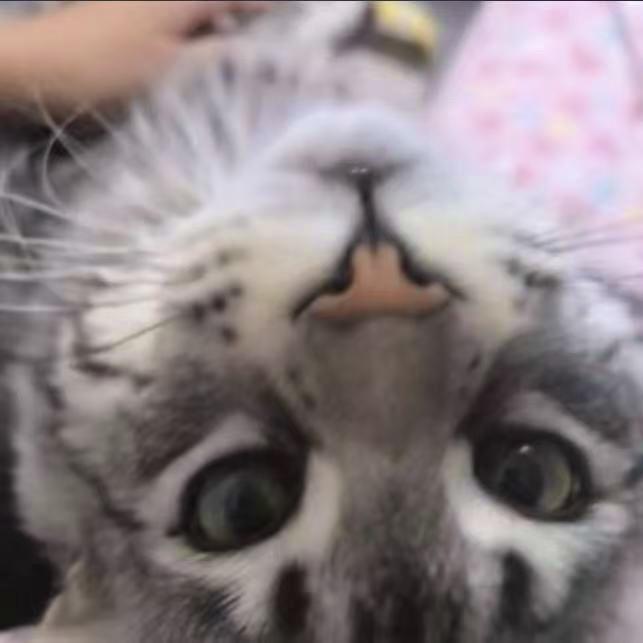 小孩小孩你别馋