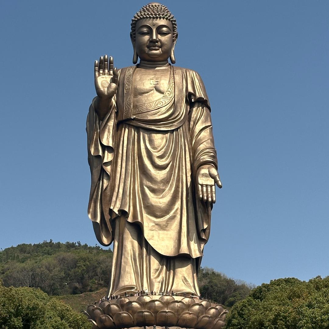 仙游红木小双双
