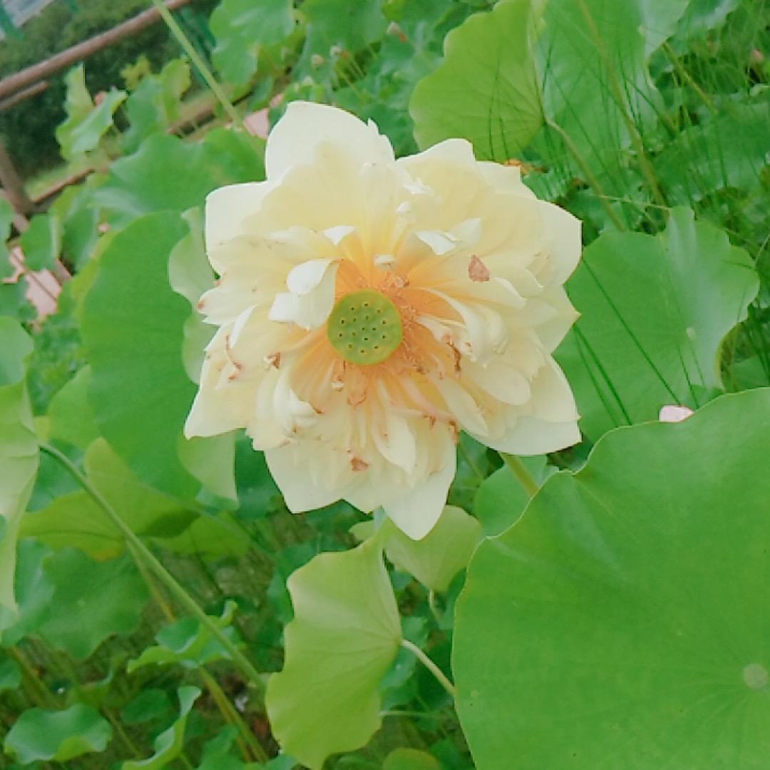 亿丰