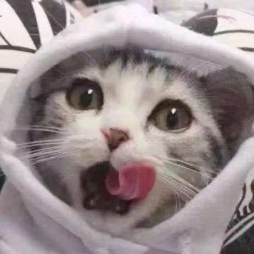 跃.