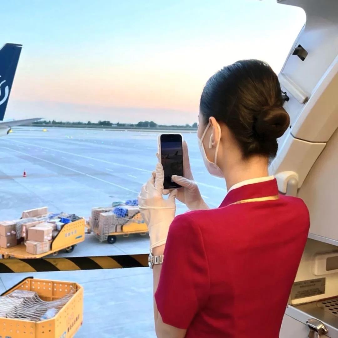 @空乘✈️楚楚已落地