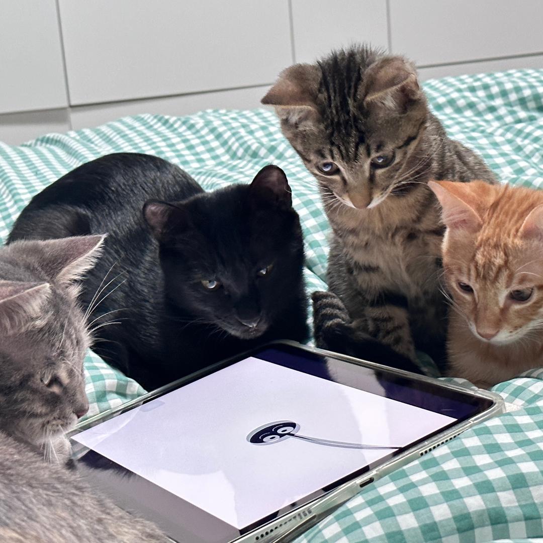 猫咪咪