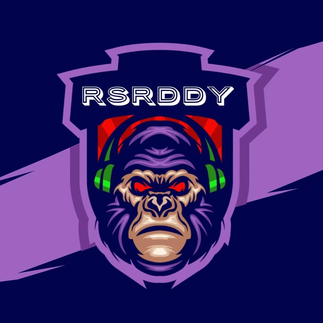 RSRDDY运动器械旗舰店