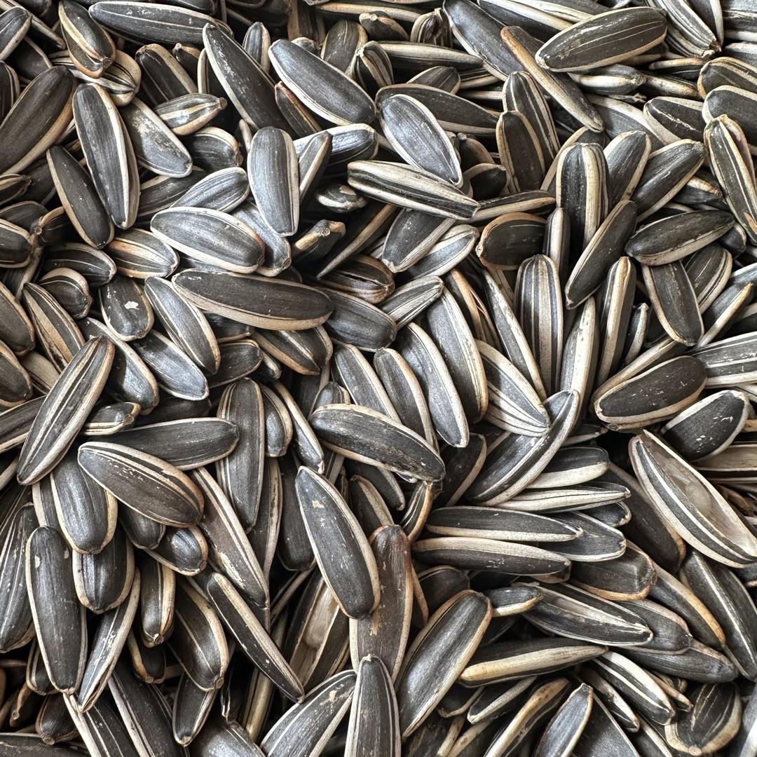 卢氏诉英百货严选店