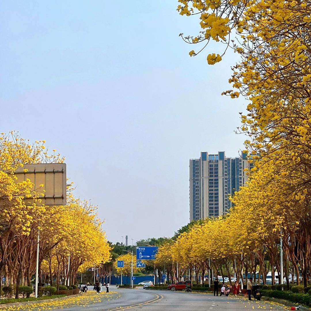 老公死了小三怀了站街养小三的少妇