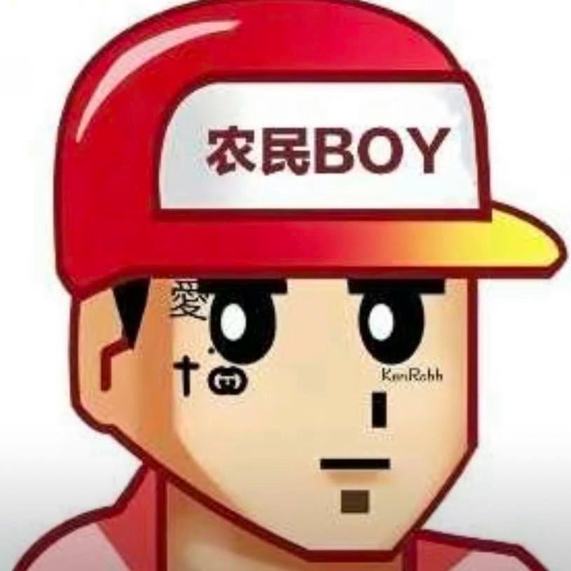 肥猪流