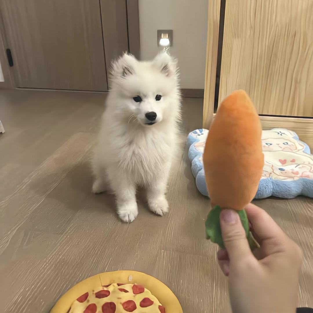 ᯠ ⑅ ᯄ𝟵 -𝟮 𝟭