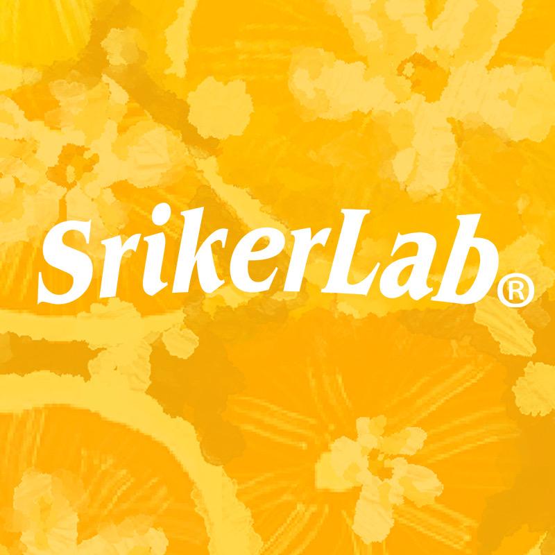 SRIKERLAB