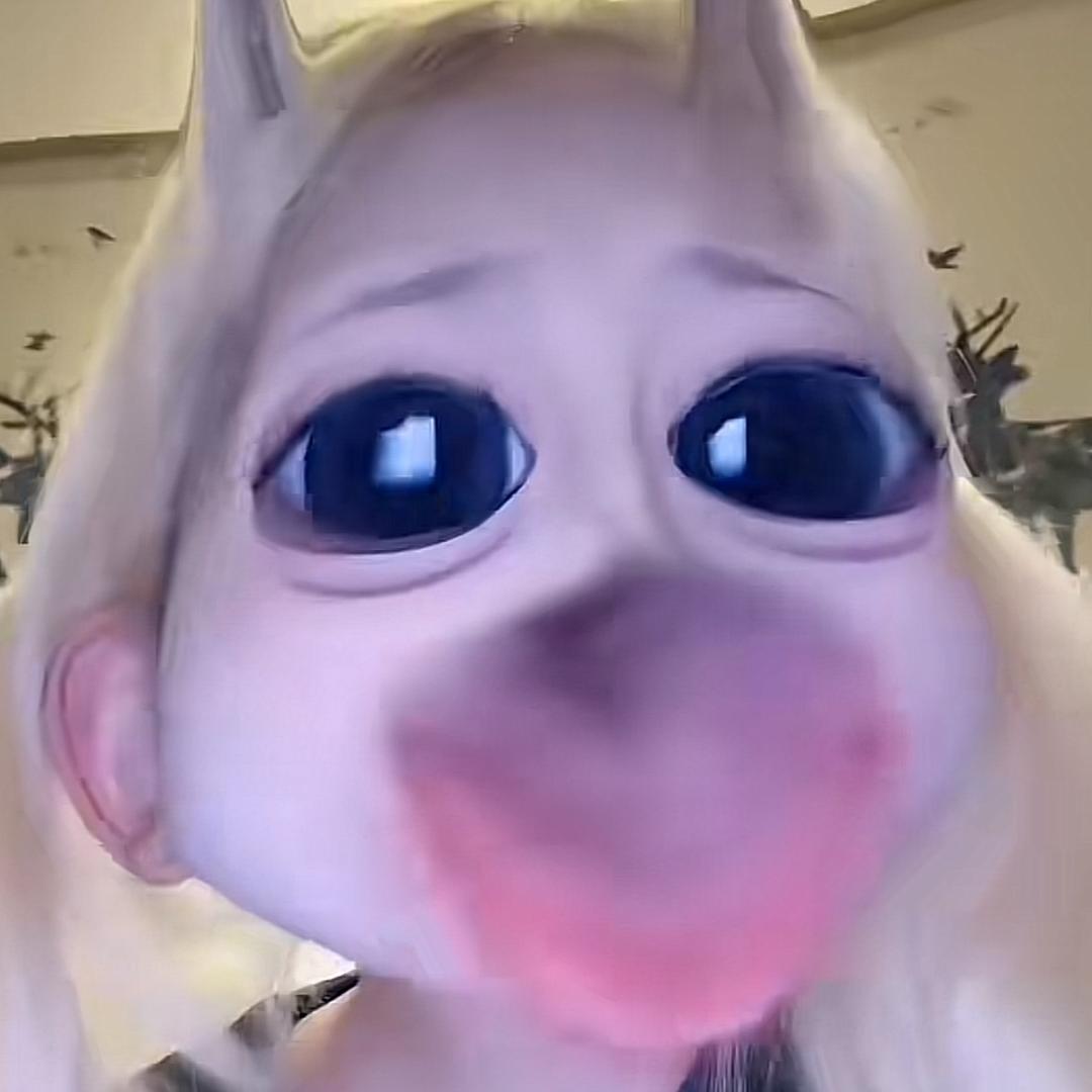 一只圆