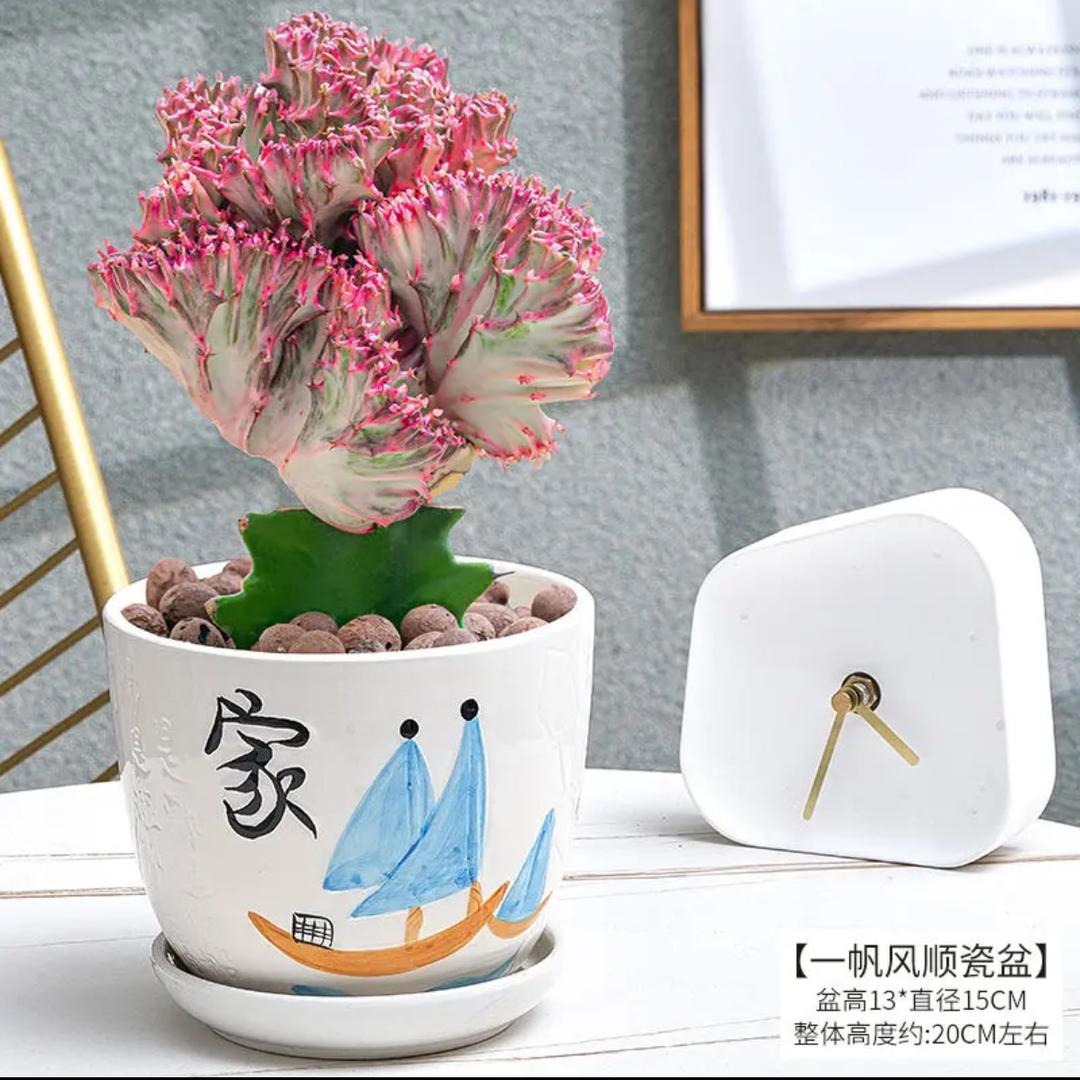 花卉种植基地