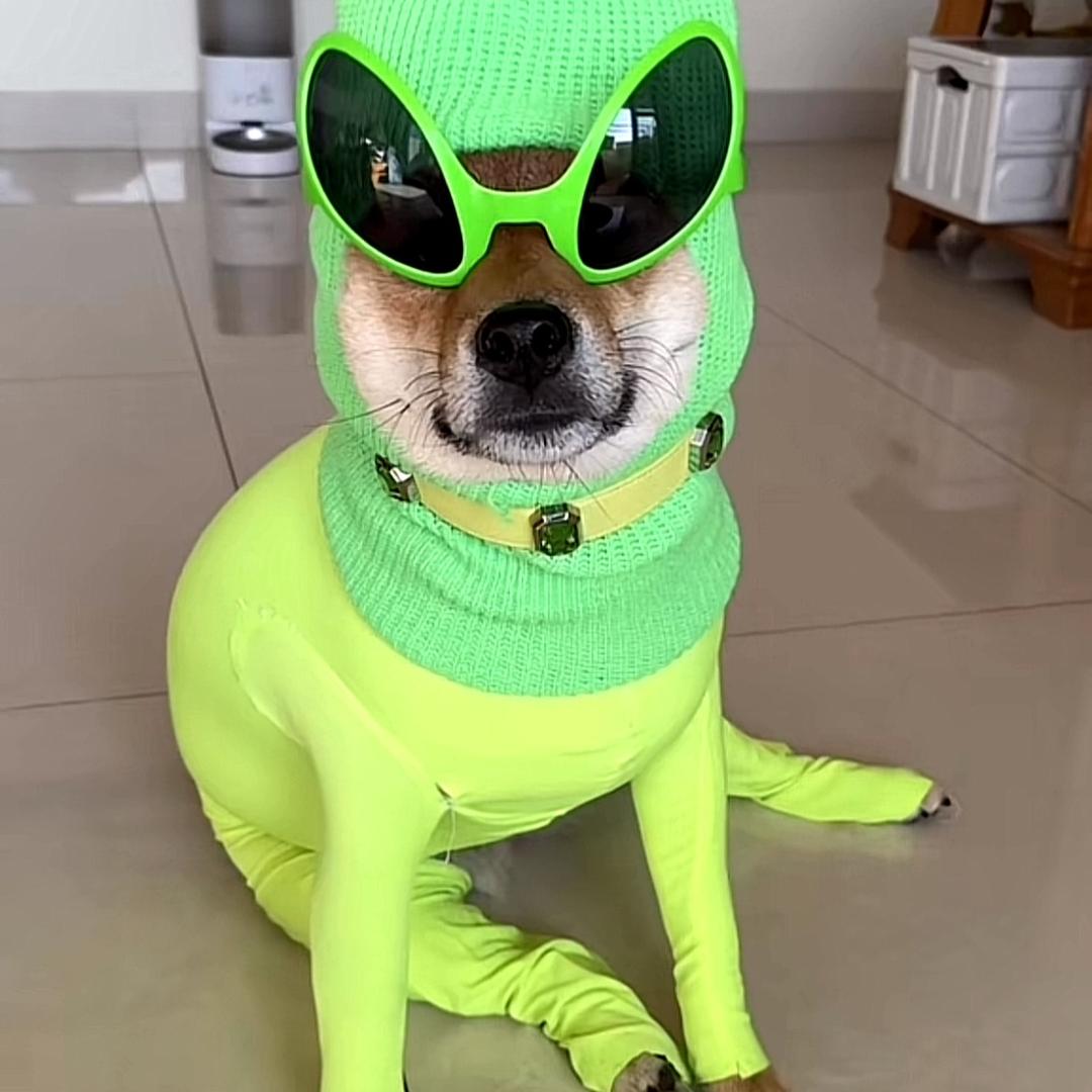 今天还没有称霸地球