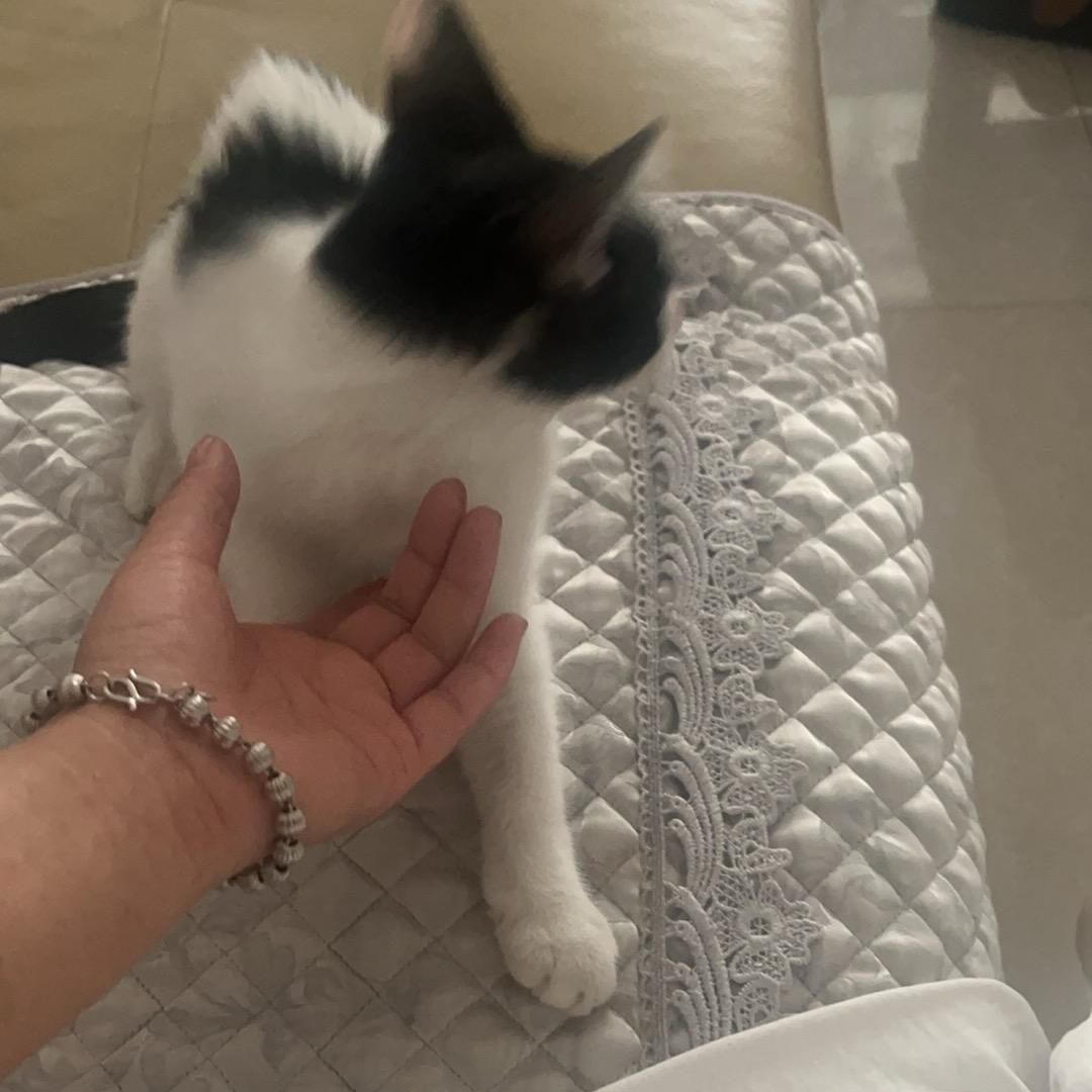你是我的唯一