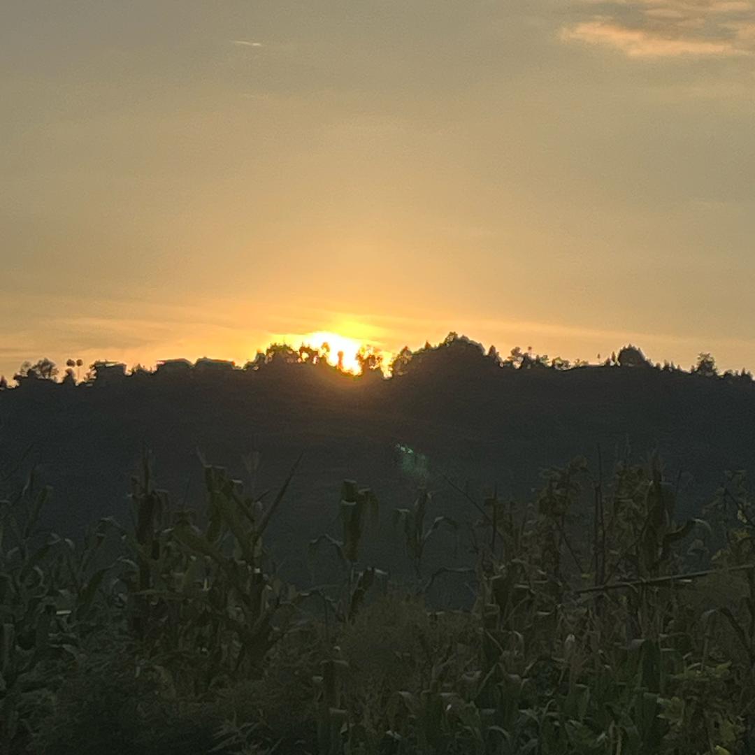 飞燕