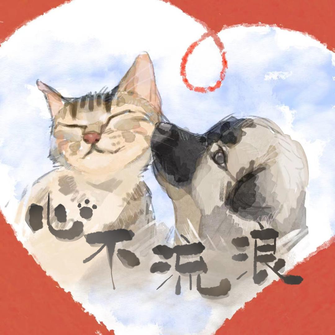 心不流浪部落