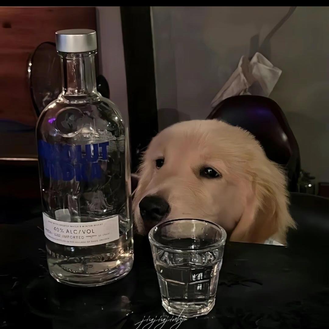 莫莫在线送分