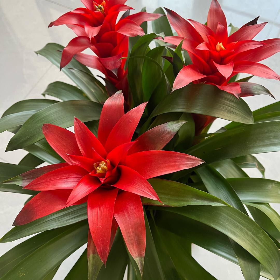 汇尤农资工厂店