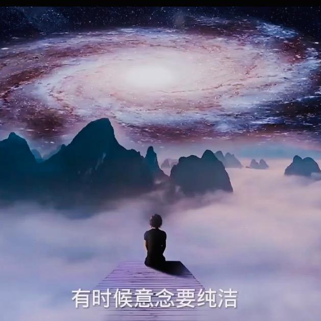 禅悟密码🙏