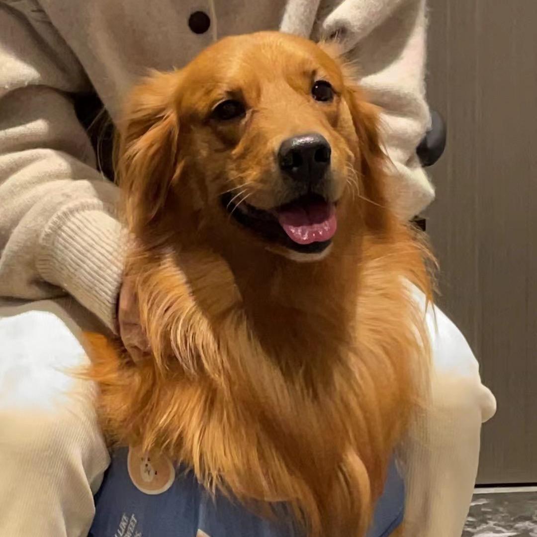 垃圾桶上的小花猫