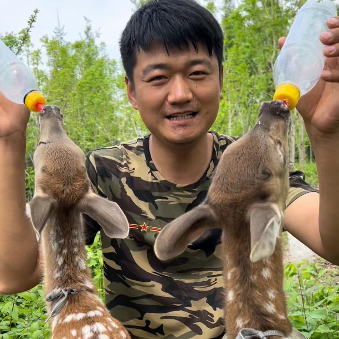 90后养鹿人