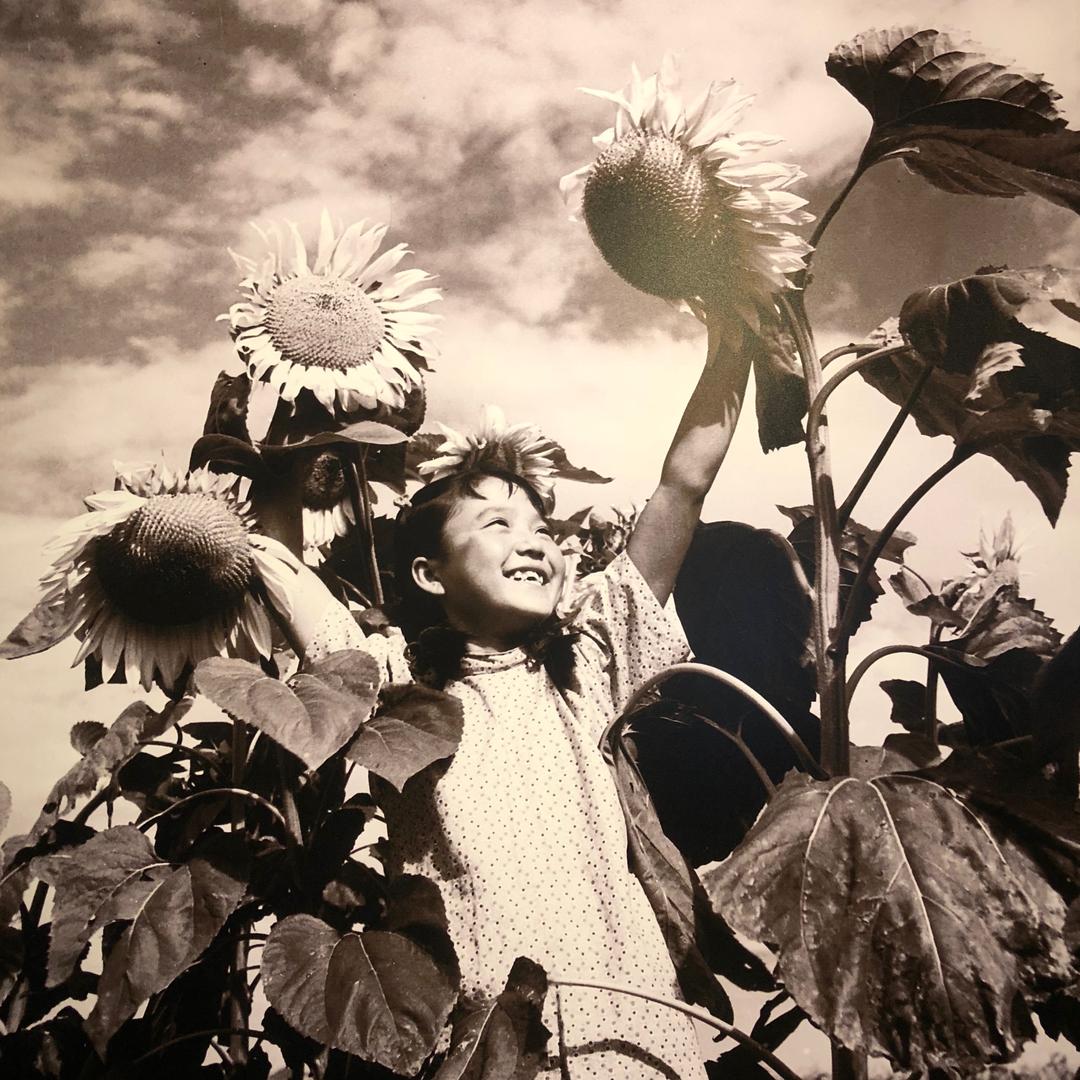 飞翔的山顶洞人