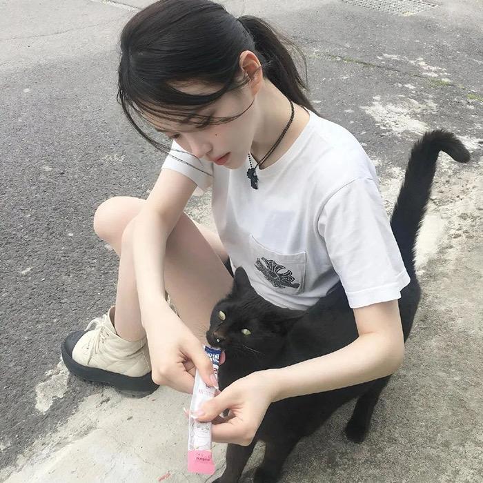 🍰•ᴗ•小喵碎碎冰