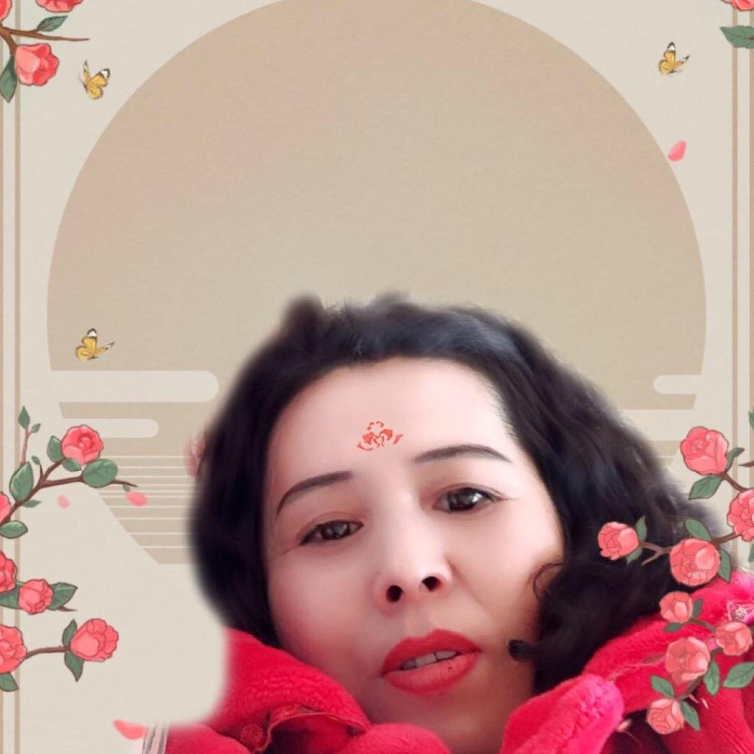 真情华儿