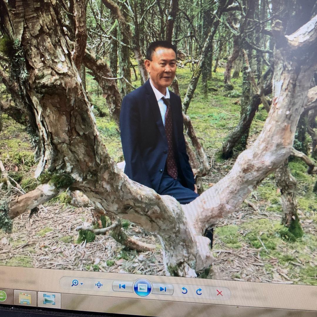 老马(拒绝合拍）