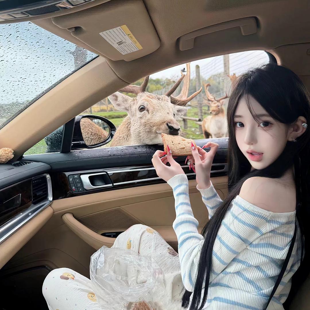 雾 .