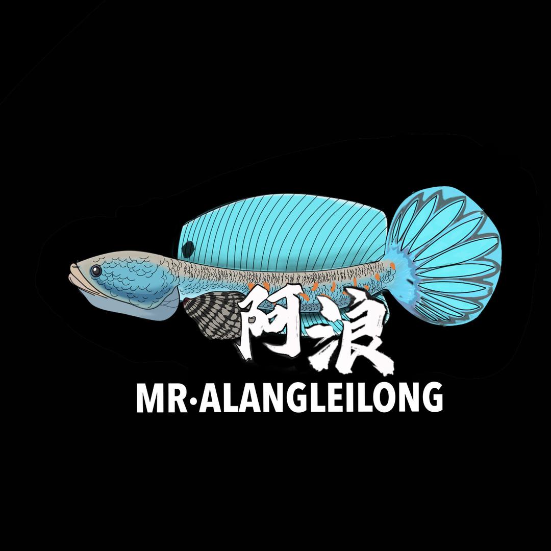 阿浪雷龙鱼工作室