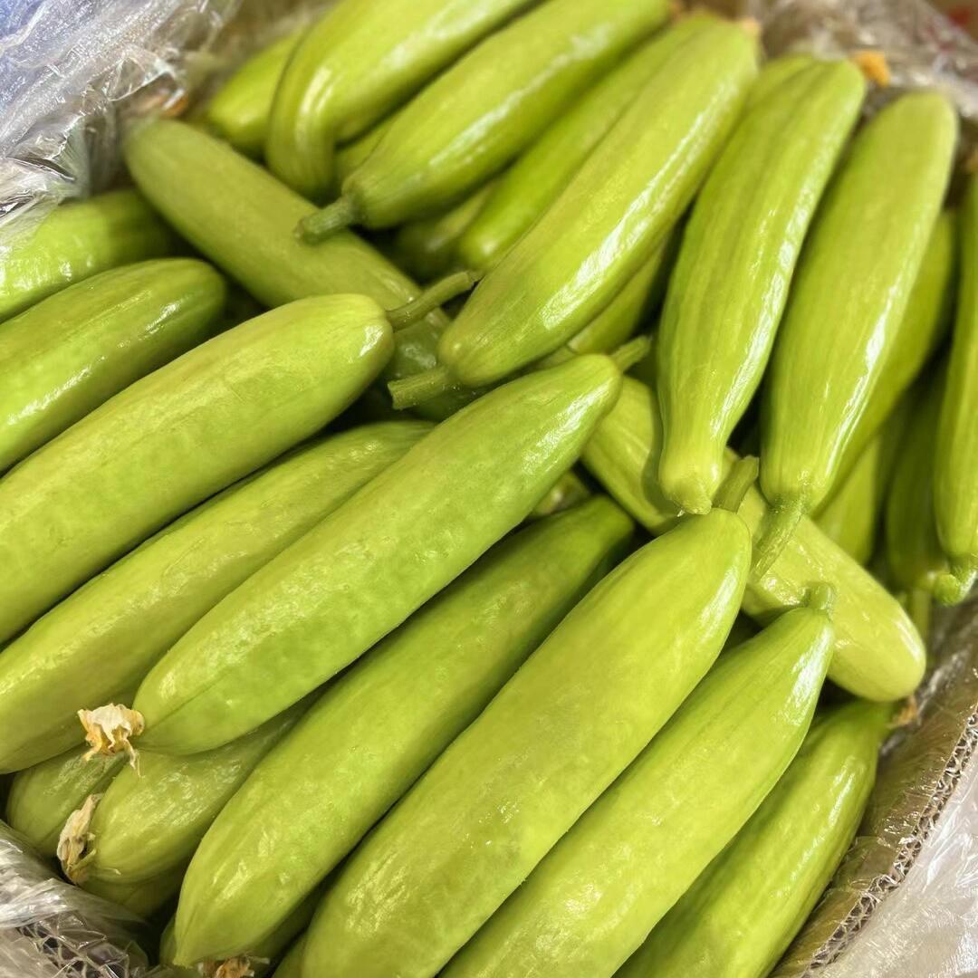 天赐福缘种植专业合作社