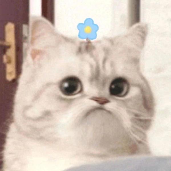 佐佑日记