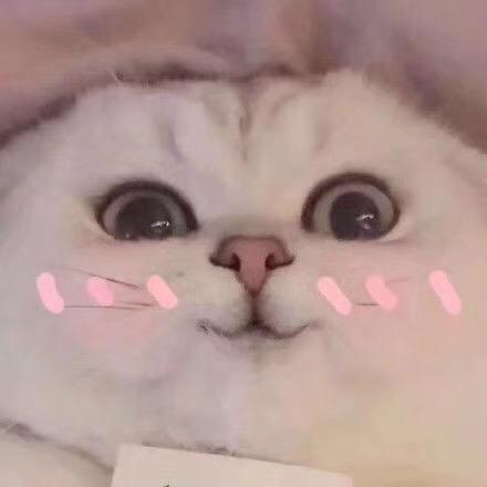 文昌妲己本己