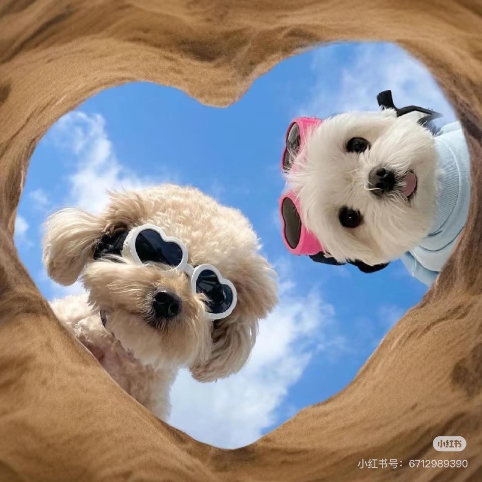 萌萌哒🐶