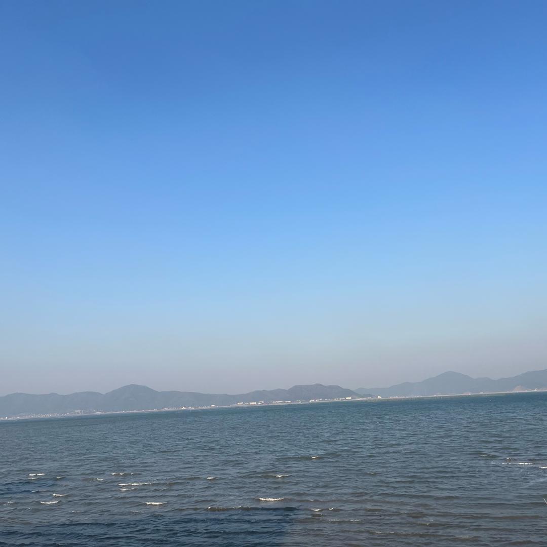 没名字