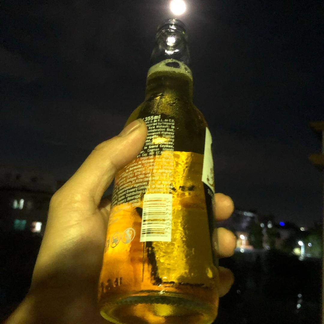 小蜜蜂🐝